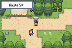 pokemon light platinum route 501